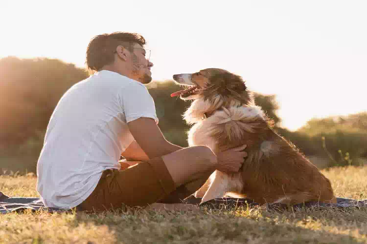 I cani riconoscono le malattie dall’odore