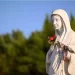 Le 3 guarigioni avvenute durante l’apparizione della Madonna Rosa Mistica
