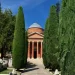 Perché nei cimiteri troviamo sempre i cipressi