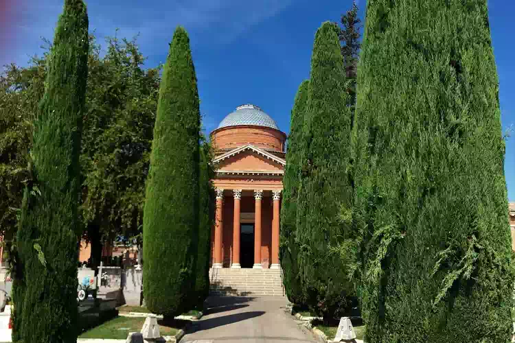 Perché nei cimiteri troviamo sempre i cipressi