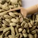 Cardamomo: Il condimento dalle proprietà antibatteriche