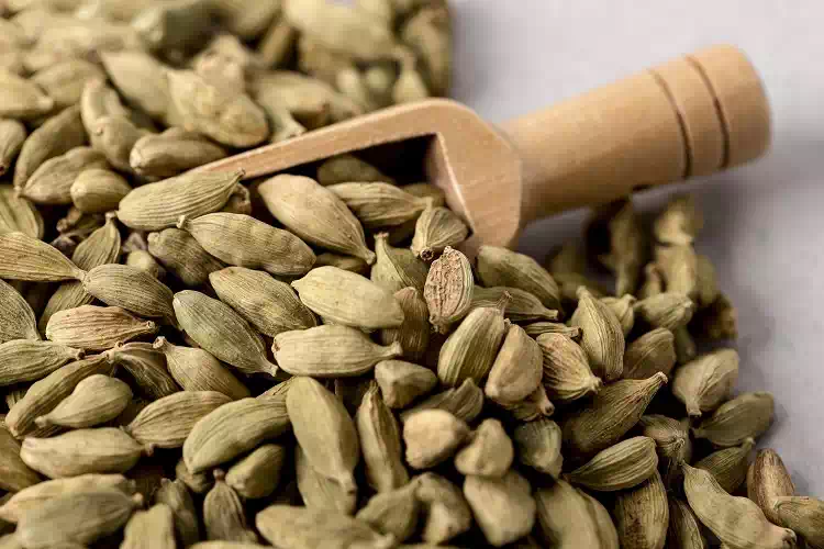 Cardamomo: Il condimento dalle proprietà antibatteriche