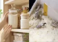 Farfalline nella dispensa