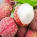 Litchi: Il frutto ricco di vitamina C e alleato della salute