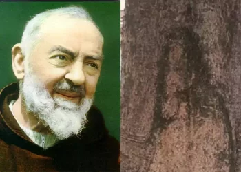Padre Pio e l’immagine su un albero a Napoli