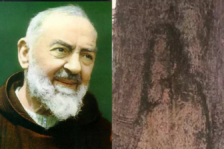 Padre Pio e l’immagine su un albero a Napoli