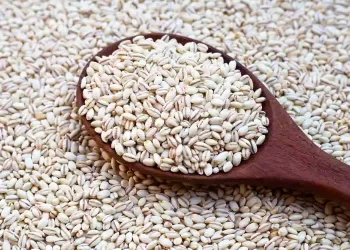 Orzo, ecco perché dovresti includerlo nella dieta