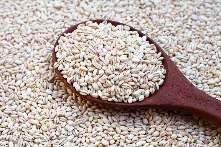 Orzo, ecco perché dovresti includerlo nella dieta