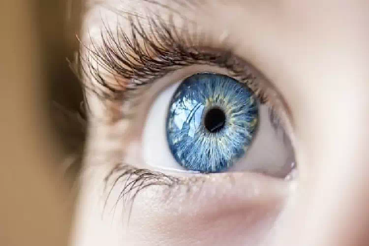Collirio anti-presbiopia