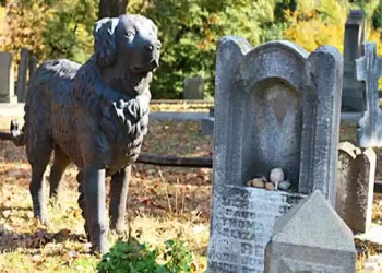 Campania, la proposta di legge dice sì alla tomba con i propri cani e gatti