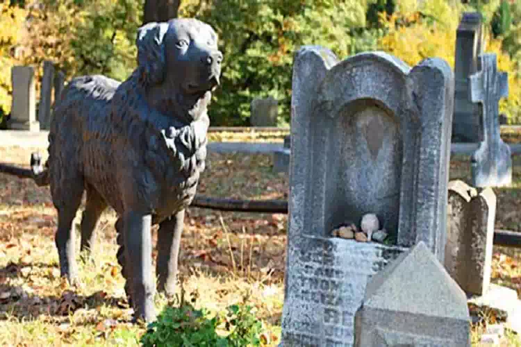 Campania, la proposta di legge dice sì alla tomba con i propri cani e gatti