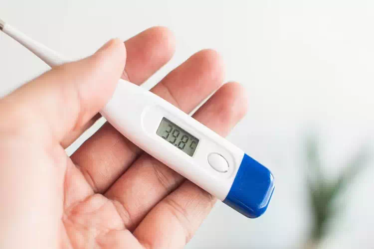 influenza stagionale