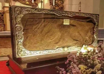 Il mantello di San Francesco