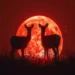 Eclissi Luna Rossa