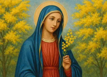 I 5 doni della Madonna