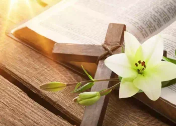 I versi della Bibbia