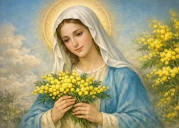 Nostra Signora della Misericordia e il miracolo dell’8 marzo
