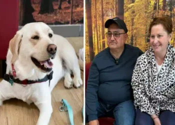 Barbara Guerra abbraccia il cane Joy in ospedale