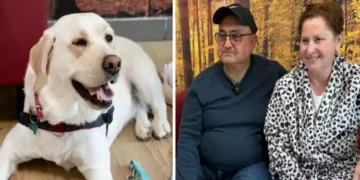 Barbara Guerra abbraccia il cane Joy in ospedale