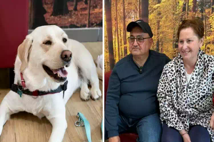 Barbara Guerra abbraccia il cane Joy in ospedale