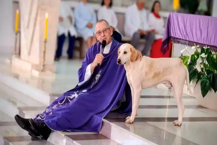Il cane Caramelo entra in chiesa e ascolta il Vangelo