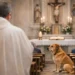 cane entra in chiesa