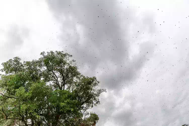 Meteo settimana, vortice sull’Italia