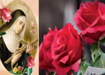 Il legame tra la rosa di Santa Rita e la Festa della Mamma