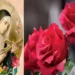Il legame tra la rosa di Santa Rita e la Festa della Mamma
