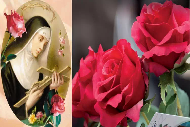 Il legame tra la rosa di Santa Rita e la Festa della Mamma