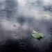 Se piove questo giorno di Maggio piove 40 giorni