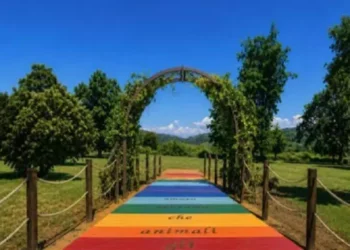 A Rivalta nasce il Ponte Arcobaleno