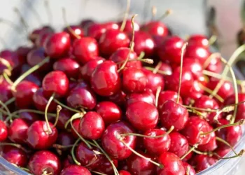 Quante ciliegie mangiare al giorno porzione consigliata