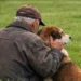 Don Felice abbraccia il cane Mylon dopo il salvataggio, simbolo di amore e famiglia