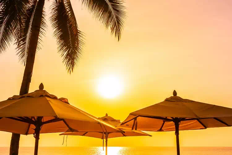 Quando finirà il caldo? L’OMS indica temperature in aumento fino all’autunno