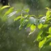 Meteo, nuova perturbazione atlantica