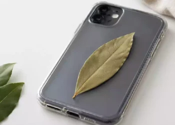 Foglia di alloro nella custodia dello smartphone, il trend portafortuna del momento