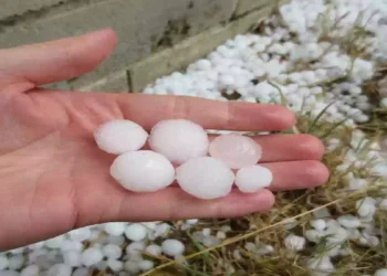 Maltempo a Cremona con grandine intensa, danni al Duomo, auto e alberi caduti
