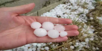 Maltempo a Cremona con grandine intensa, danni al Duomo, auto e alberi caduti