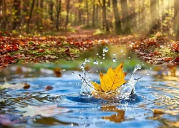 Meteo Autunno 2026: Settembre, Ottobre e Novembre tra caldo e pioggia