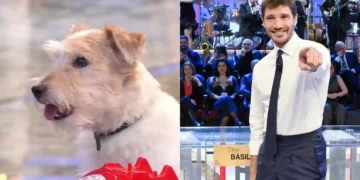 Stefano De Martino annuncia il nuovo cagnolino che sostituirà Gennarino nella nuova edizione di Affari Tuoi
