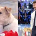 Stefano De Martino annuncia il nuovo cagnolino che sostituirà Gennarino nella nuova edizione di Affari Tuoi