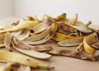 Vasetto di fertilizzante naturale ottenuto frullando bucce di banana in acqua, posato accanto a piante da appartamento per mostrare il rimedio domestico utile alla loro cura.