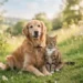 Nuove regole UE per la tutela di cani e gatti, arriva la Carta dei Diritti degli animali domestici in Europa