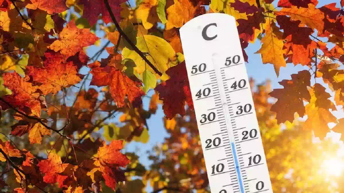 Foglie autunnali dai colori arancioni, gialli e rossi illuminate dal sole con termometro in primo piano che indica temperature miti, simbolo dell'Ottobrata e dell'autunno caldo in Italia.