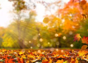 Meteo Italia, Ottobrata con cielo sereno e sole su gran parte del Paese, temperature fino a 29 gradi e possibile peggioramento con piogge nei prossimi giorni.