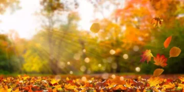 Meteo Italia, Ottobrata con cielo sereno e sole su gran parte del Paese, temperature fino a 29 gradi e possibile peggioramento con piogge nei prossimi giorni.