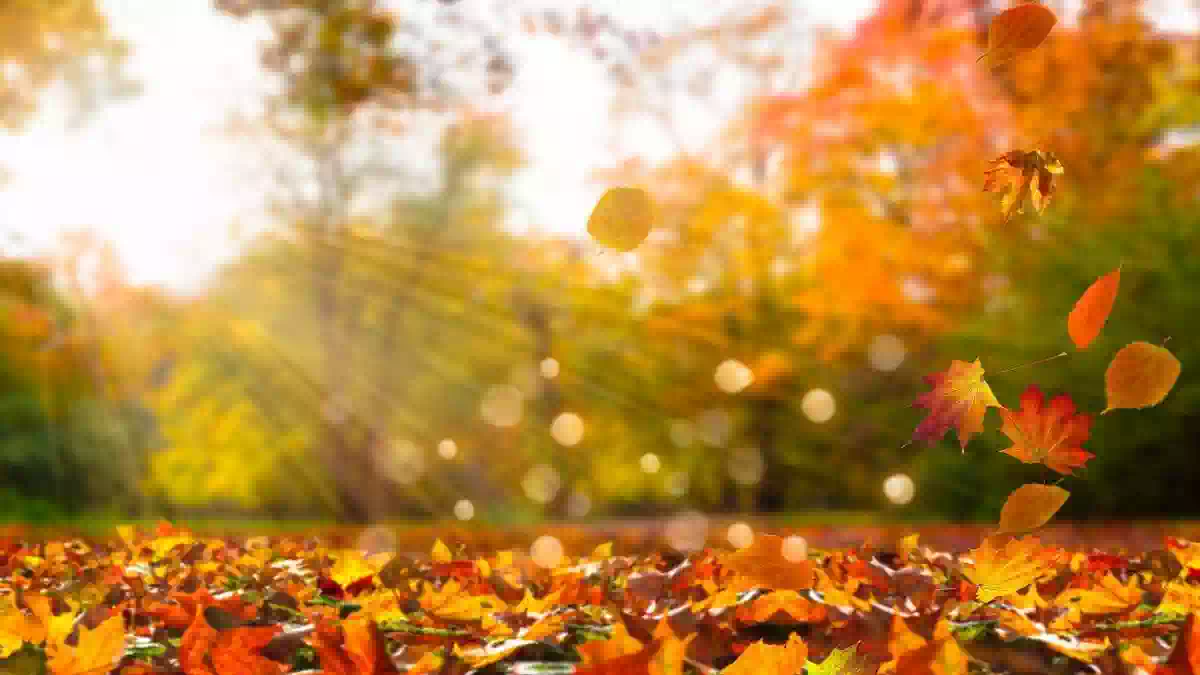 Meteo Italia, Ottobrata con cielo sereno e sole su gran parte del Paese, temperature fino a 29 gradi e possibile peggioramento con piogge nei prossimi giorni.